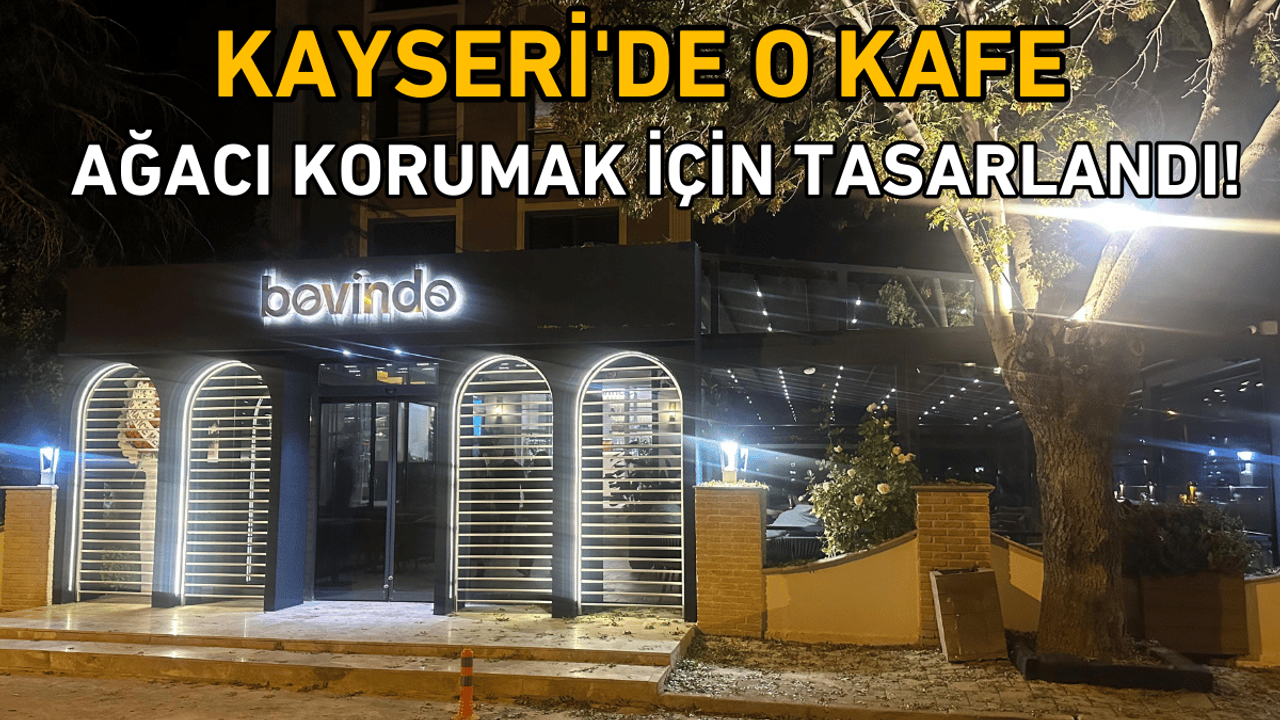 Kayseri'de o kafe ağacı korumak için tasarlandı!