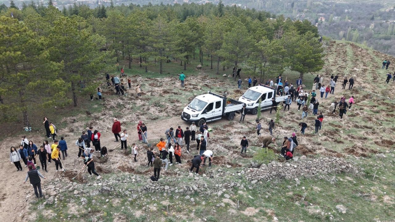 Gesi'de 3 bin fidan toprakla buluştu!