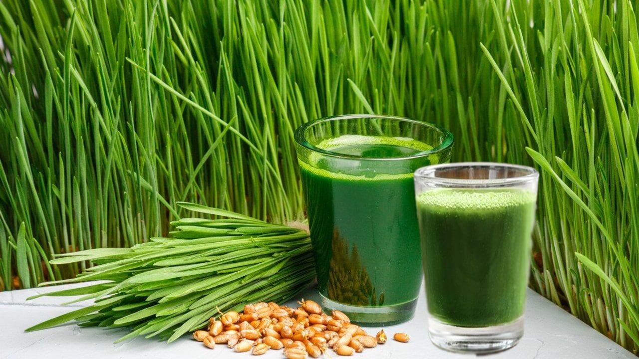 Toksinlerin Doğal Yolla Atılmasını Çağlayan Buğday Çiminin Faydaları Nedir?