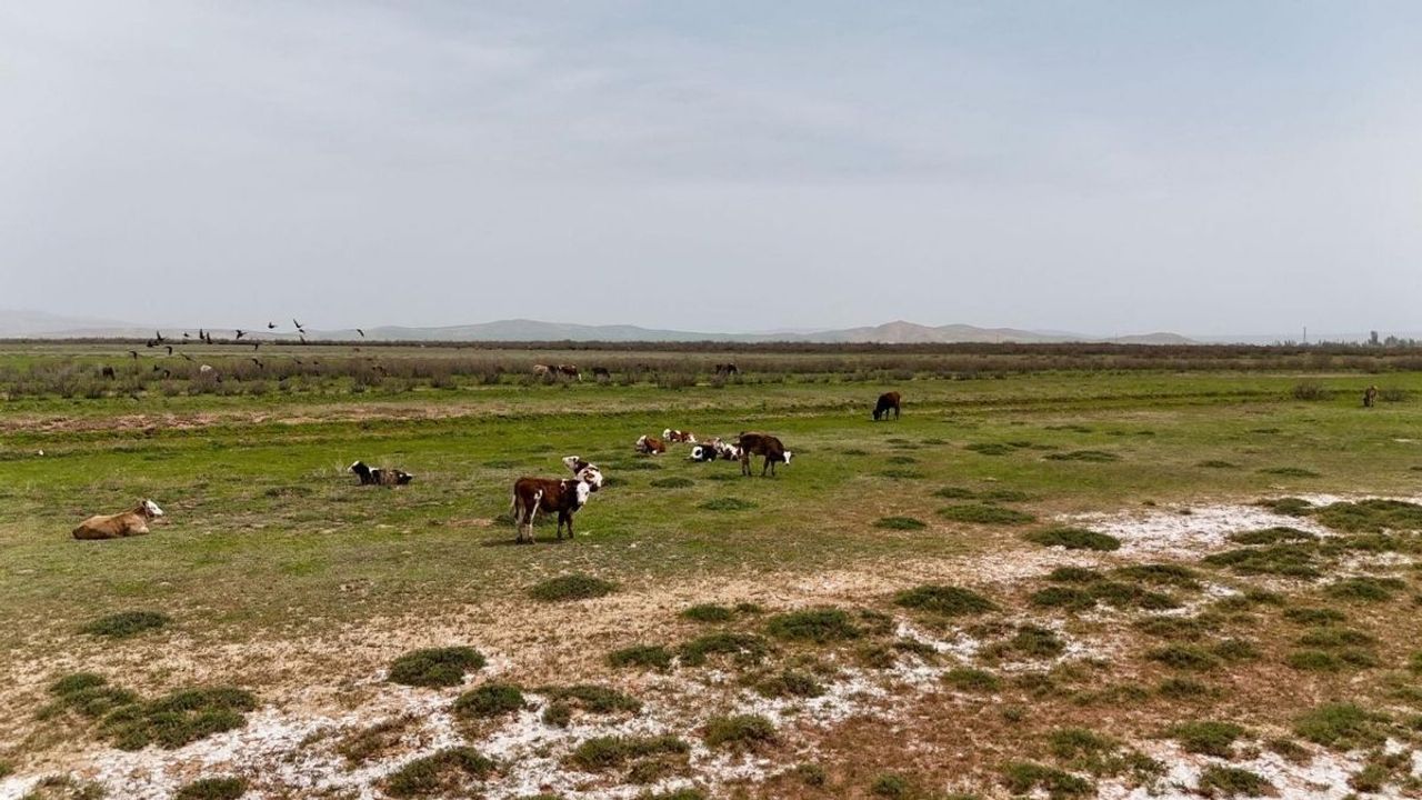 Kayseri'de Tuzla Gölü güzelliğiyle göz kamaştırıyor