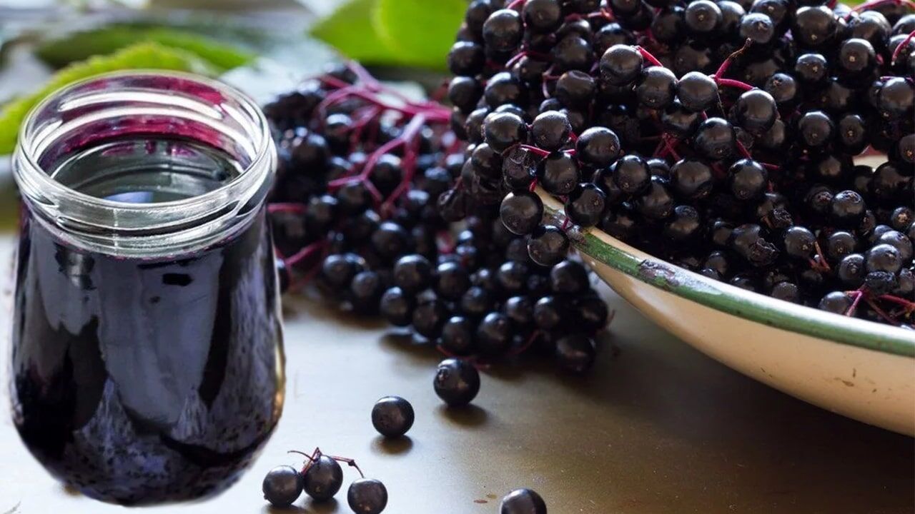 Mürver'in İnsan Bedenine Faydaları