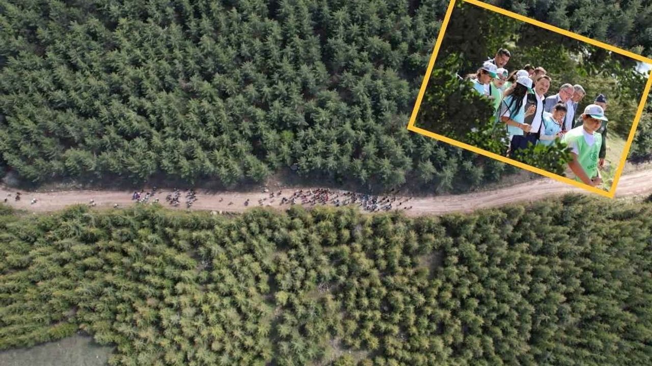81 ilde ormanlar için seferberlik! Kayseri'nin en yeşil mekanında toplanıldı!