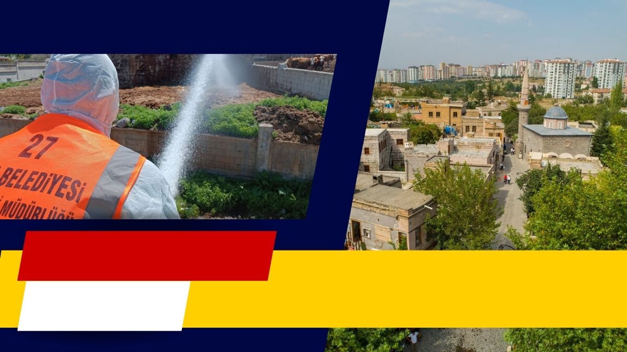 Talas Belediyesi yaz mesaisine bakın nasıl başladı?