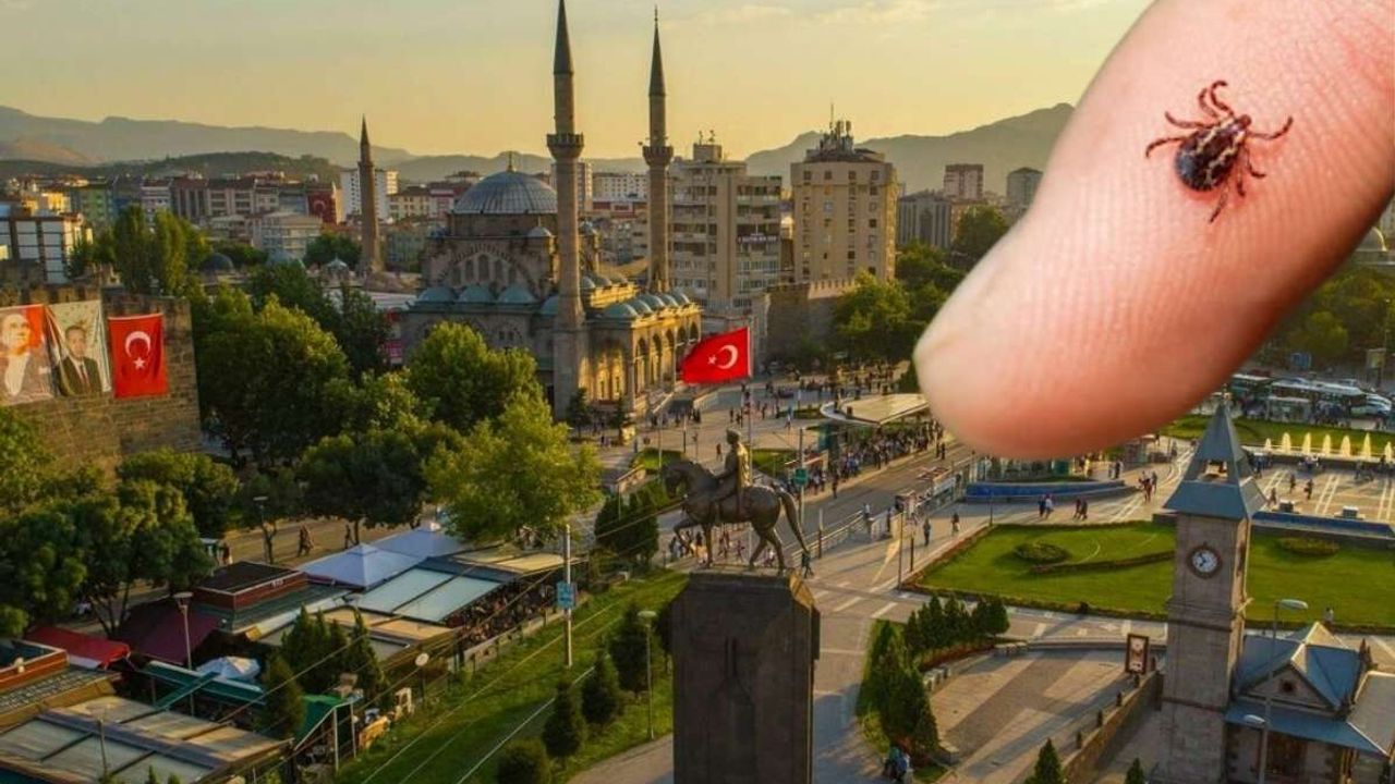 Kayseri’de 4 can almıştı! MHP Kayseri Milletvekili harekete geçti