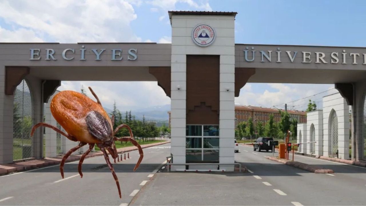 4 kişinin ölümüne sebep olmuştu: Çözüm Kayseri'den geldi!