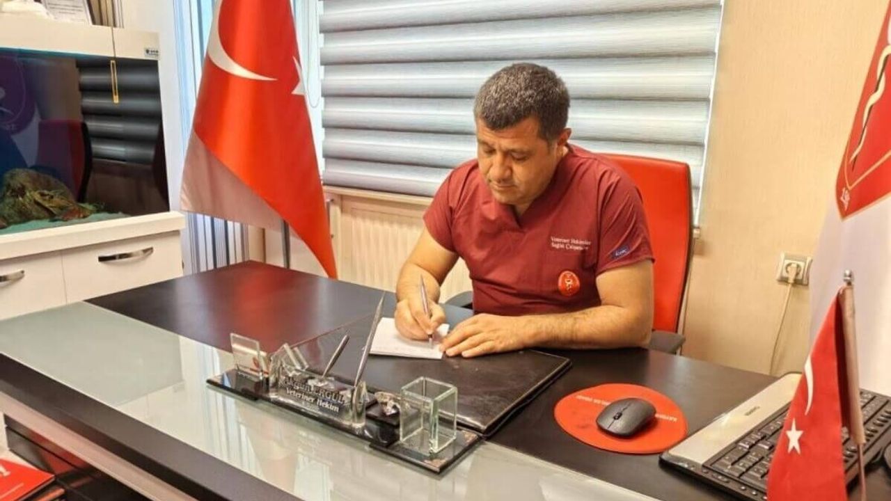 Kayseri Veteriner Hekimler Odası Başkanı uyardı: Şehrin göbeğinde de kene görebiliriz!