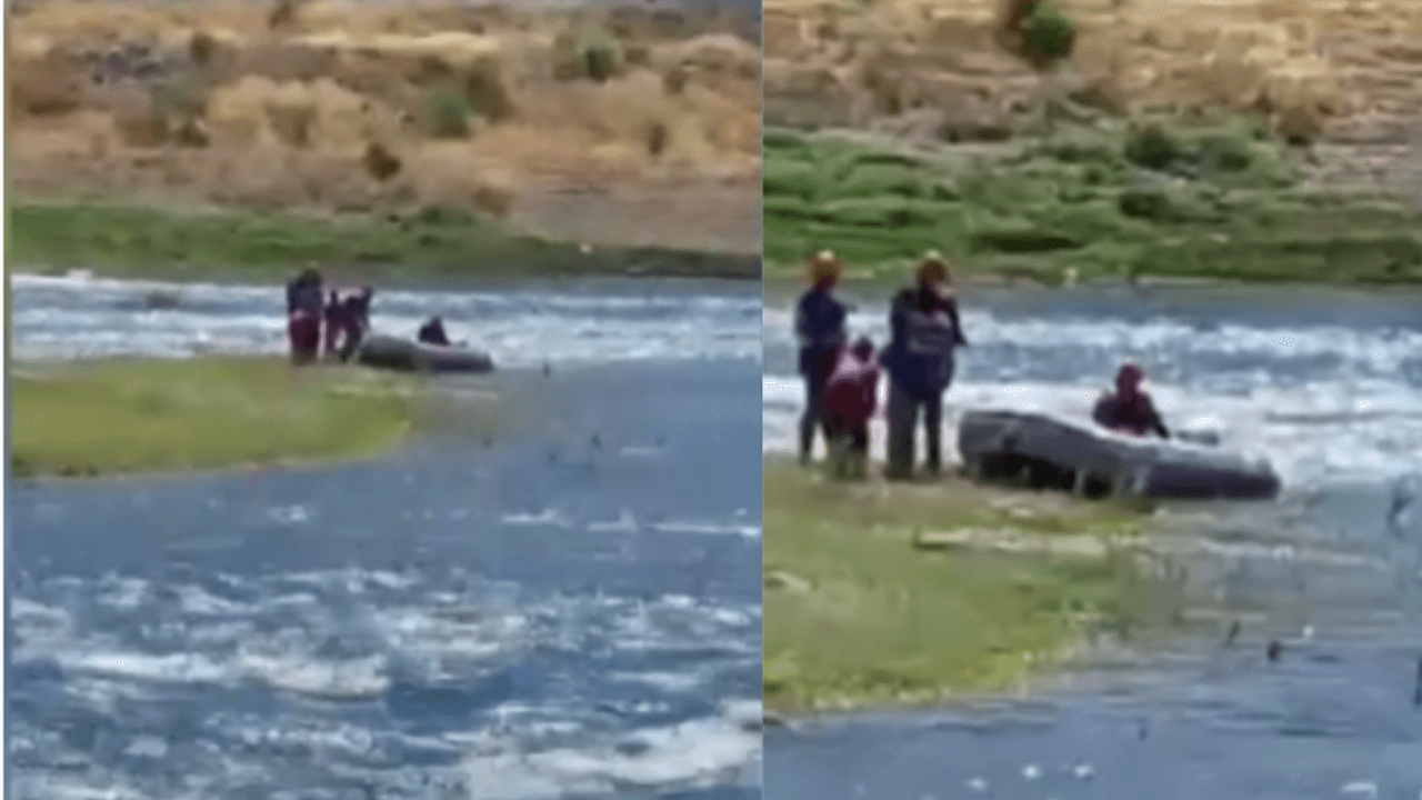 Barajda korku dolu anlar: 3 çocuk ve 2 köpek mahsur kaldı