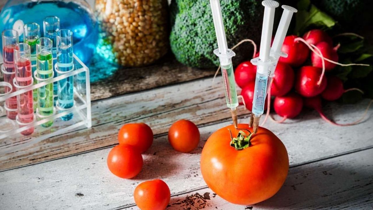 Çin’de yetişen dev sebzeler: Genetik oyunlar mı?