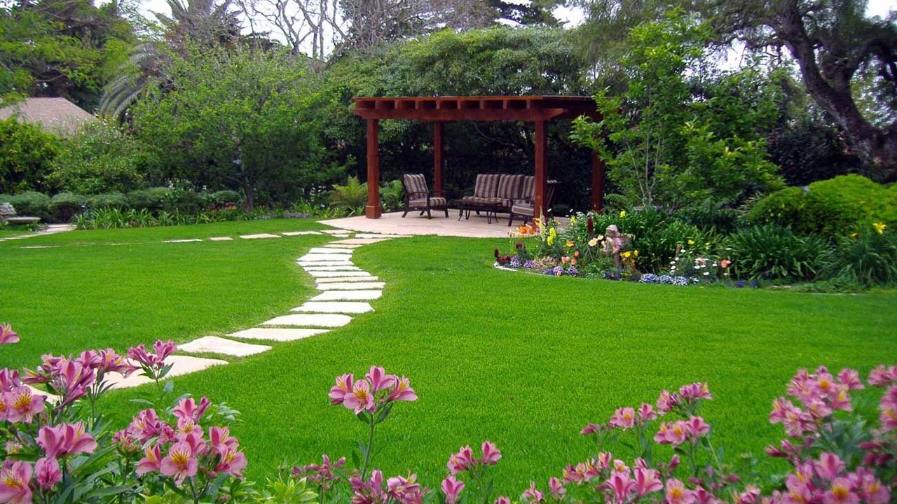 Soğuğa karşı en dayanıklı 5 çiçek açıklandı