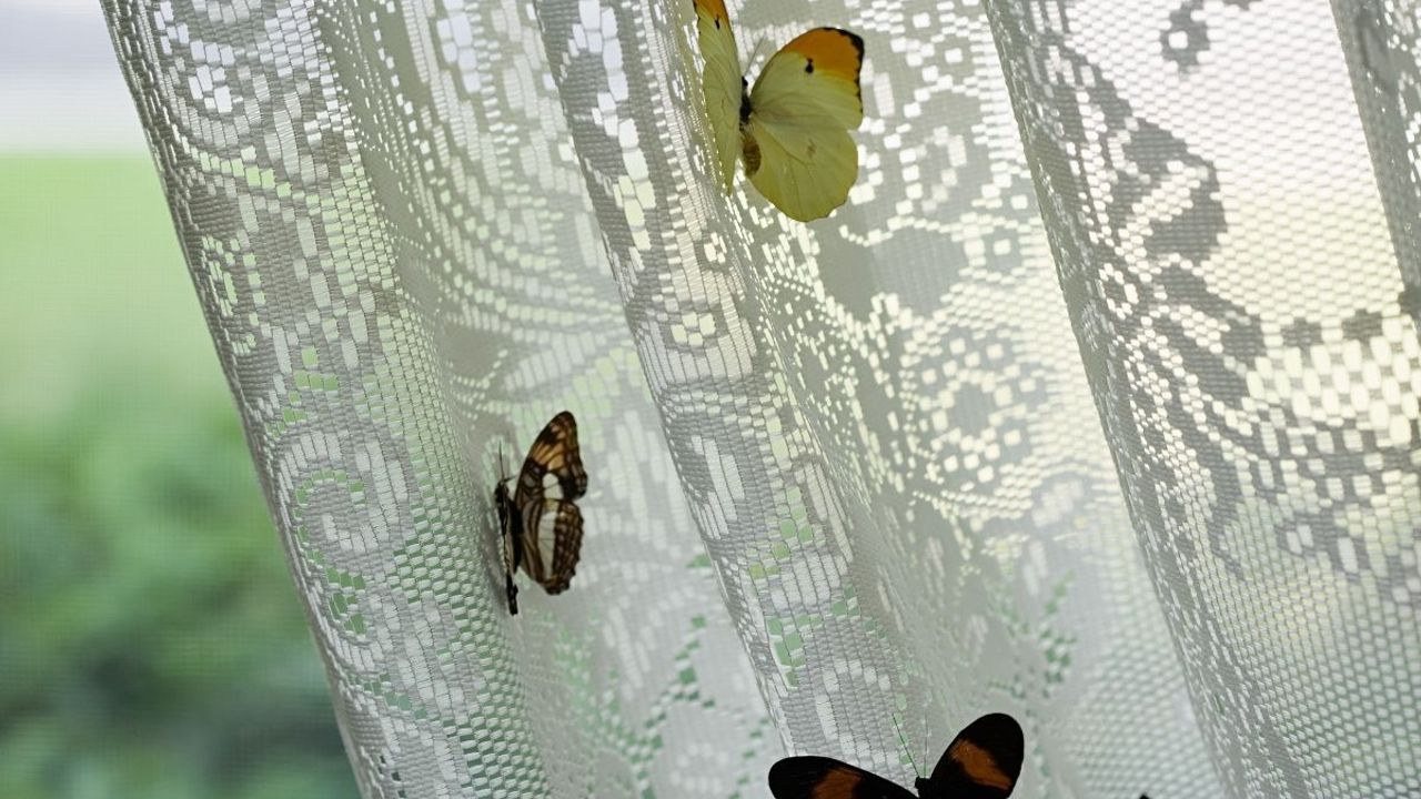 Evde Yapılan En Hızlı Tül Perde Temizliği Yöntemi