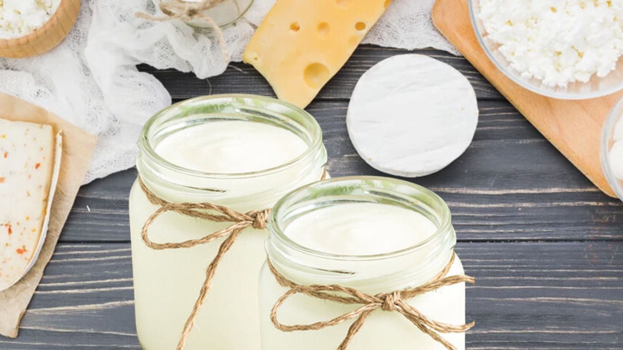 Fermente Gıdaların Sağlığa Faydaları