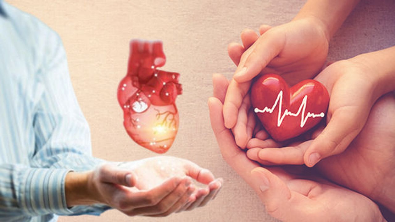 Ürik Asit Seviyesini Düşüren İçecekler