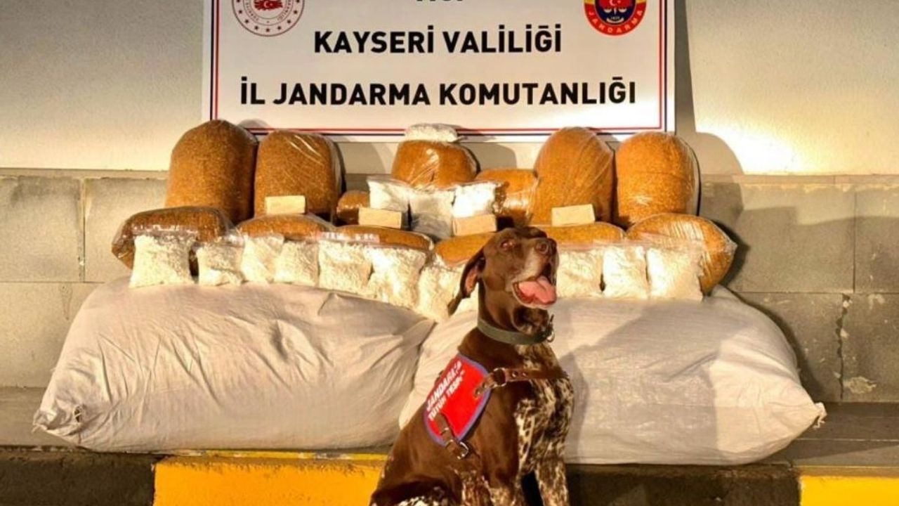 Kayseri’de 450 Kilogram Kaçak Tütün Ele Geçirildi
