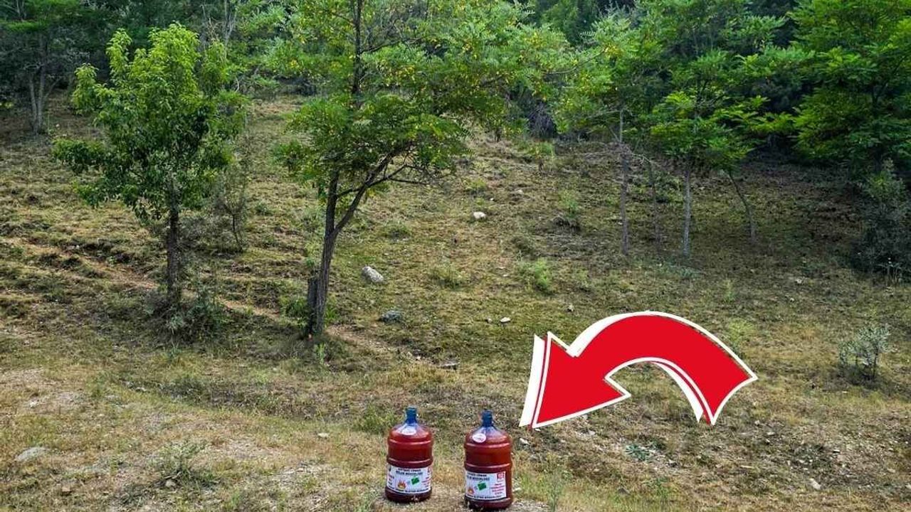 Kayseri Orman Bölge Müdürlüğü harekete geçti! 150 damacana su yerleştirildi