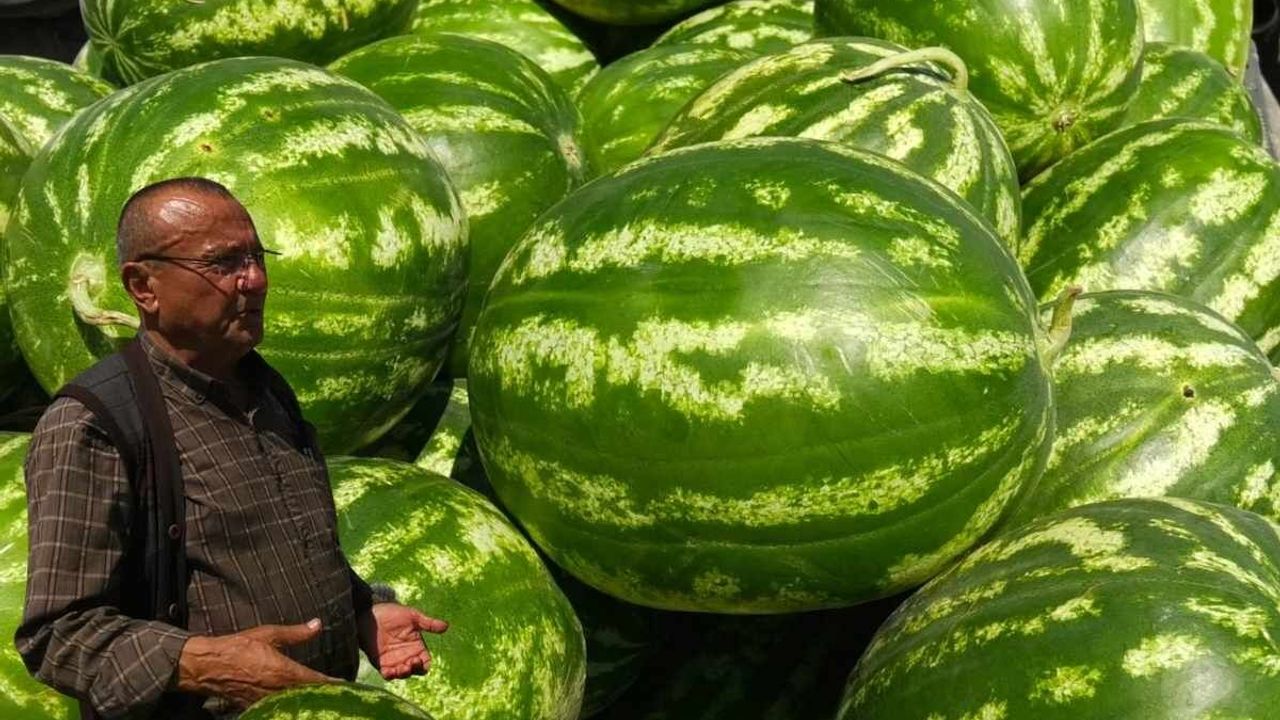 Kayseri'de karpuz krizi! Hal esnafı isyan etti
