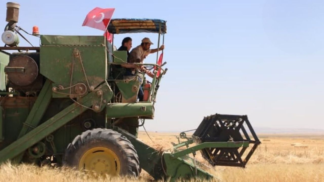 Kayseri'nin ata tohumuna başkandan destek! Tarlaya indi, hasat başladı!