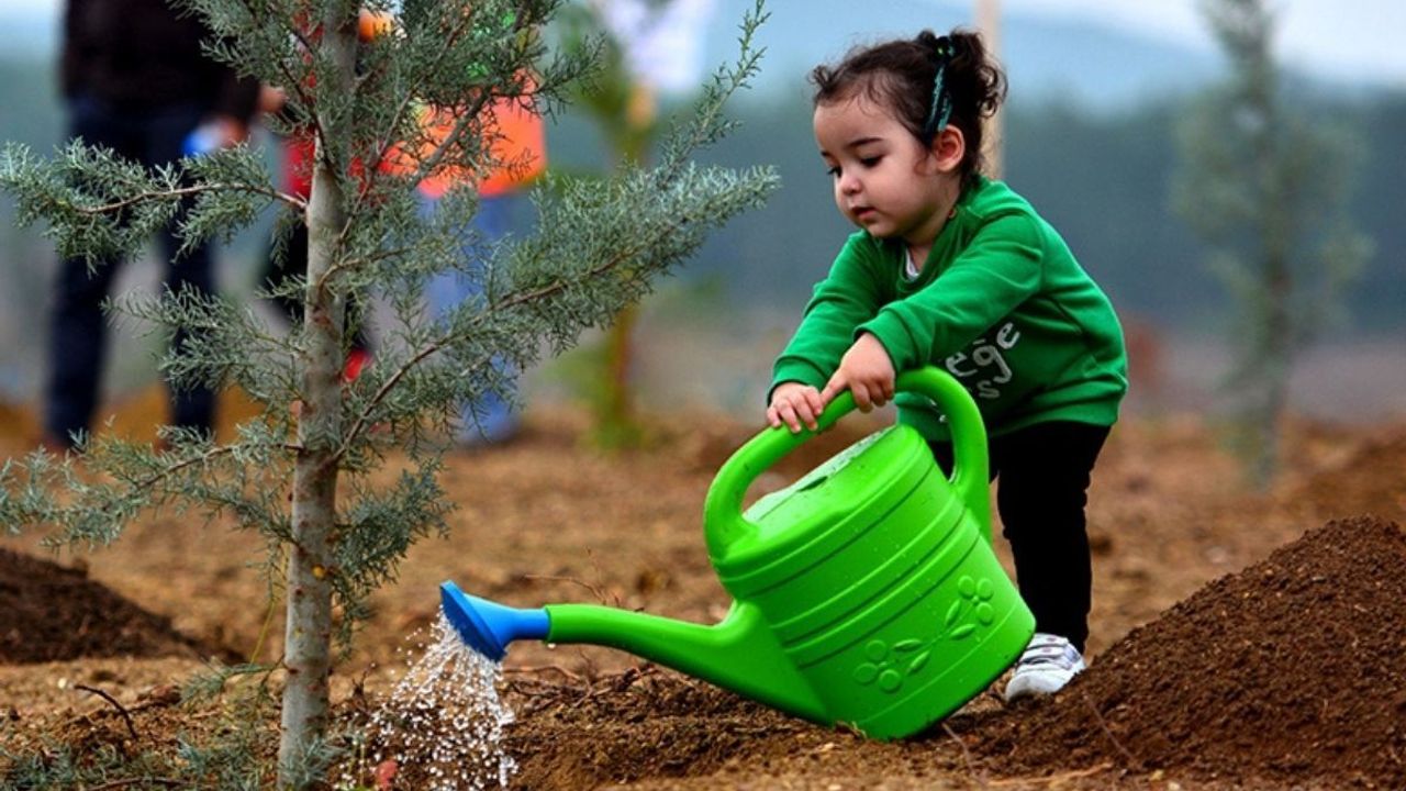 Saadet Partisi’nden Türkiye’ye Çağrı: Ormanlarımızı yeniden yeşertmeye var mısınız?