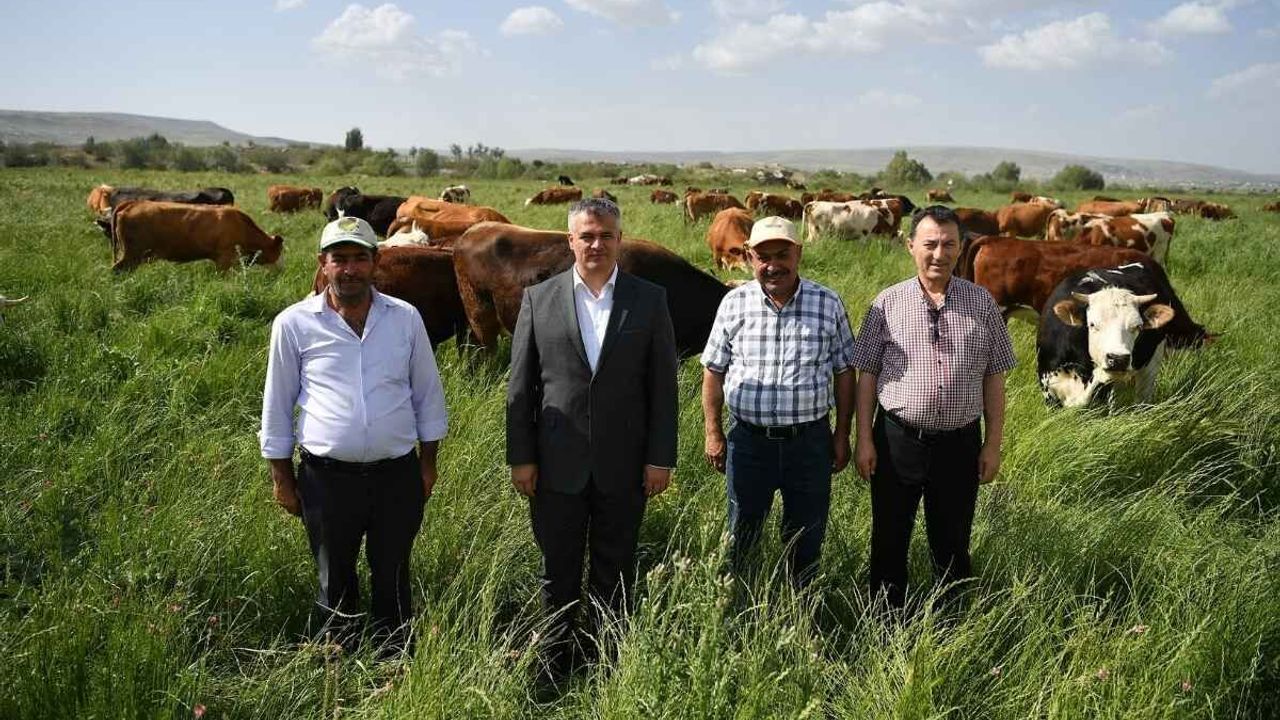 Kayseri'de Mera Islah Projesi yüzleri güldürüyor!