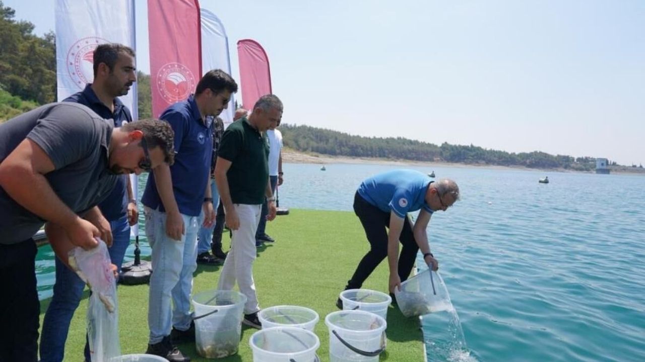 Kayseri dâhil 12 ilde 129 Gölet'e 10,5 milyon yavru sazan bırakıldı
