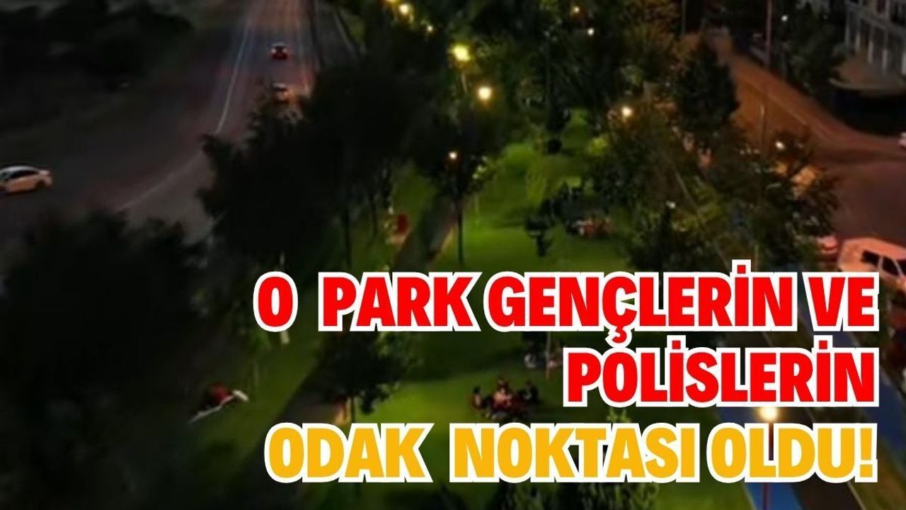 O park: Gençlerin ve polislerin odak noktası oldu!
