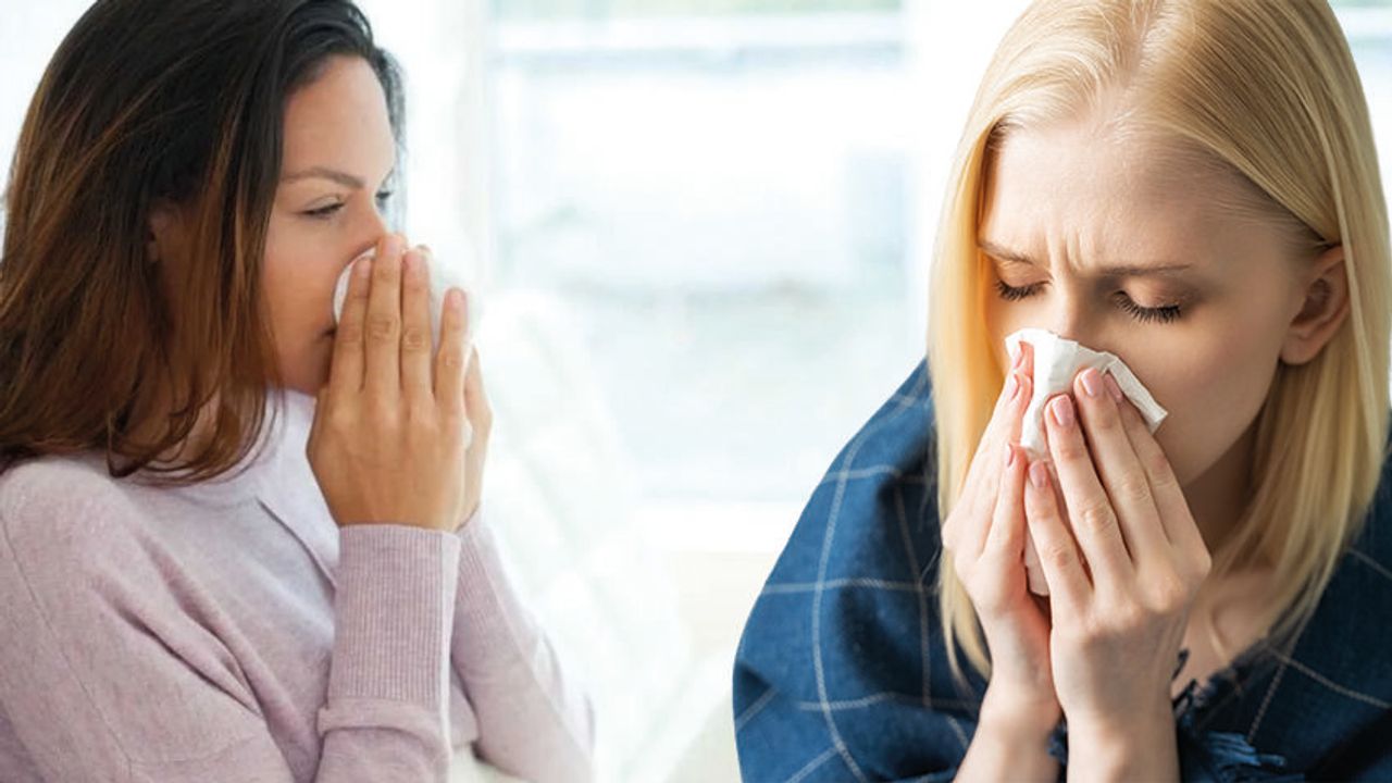 Soğuk Algınlığı ve Alerjik Rinit Arasındaki Farkı Anlama Yolları