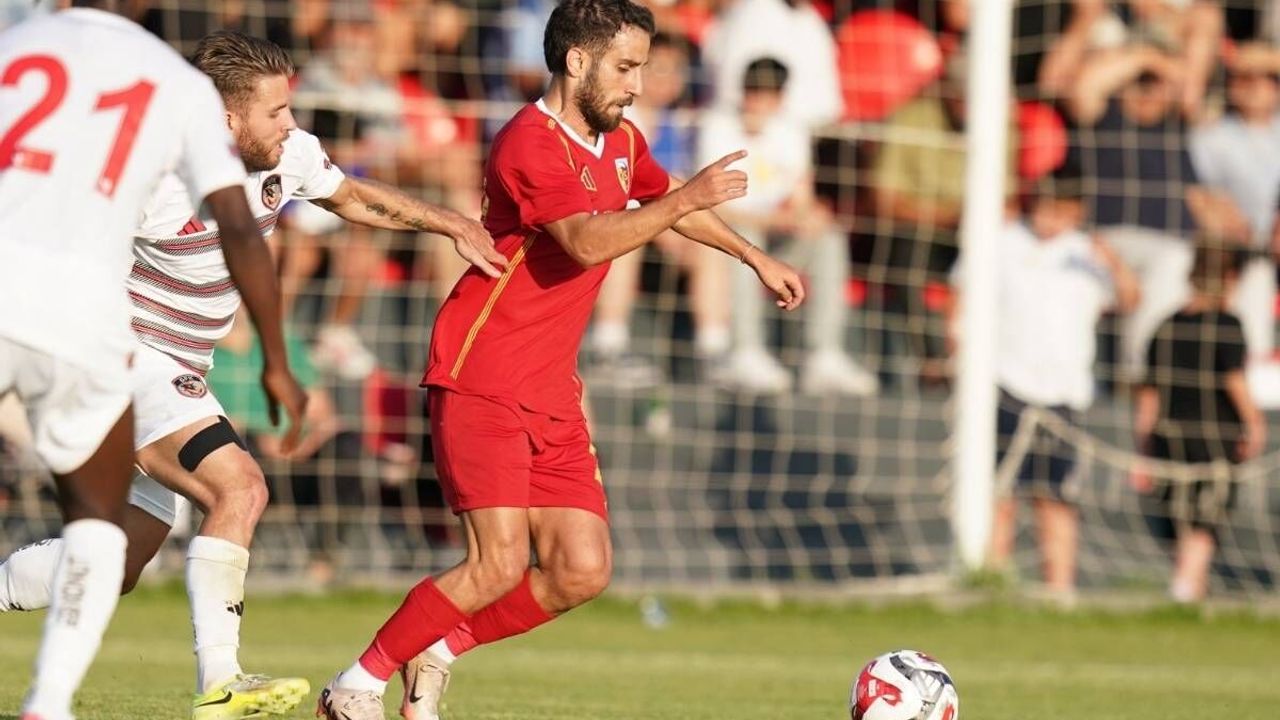 Sahte safrana dikkat! İşte gerçeğini anlamanın püf noktaları