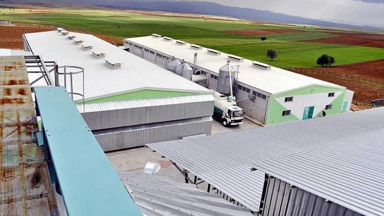 Dev yumurta firmasına kayyum atandı!