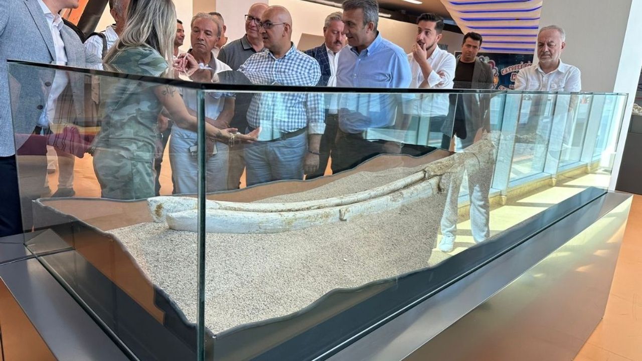 AK Partili vekilden dikkat çeken paylaşım: Kayseri'de 7,5 milyon yıl öncesine gidebilirsiniz!