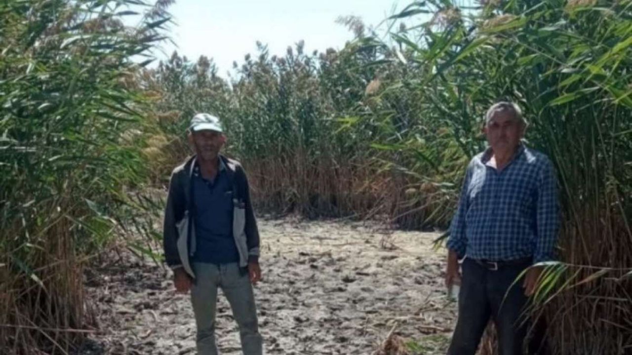 Kayseri'nin eşsiz bölgesi alarm veriyor! DSİ'ye çağrı