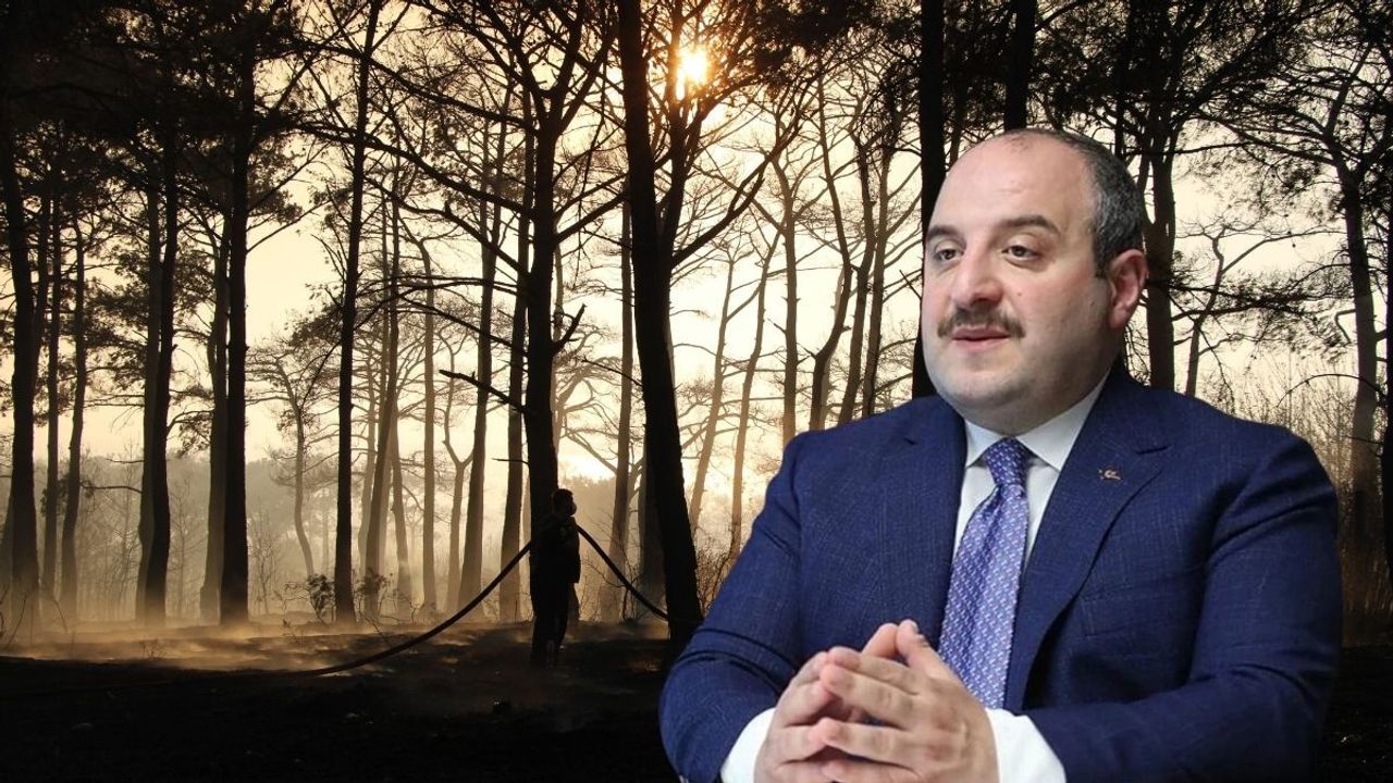 Yangın mı, rant mı? Çanakkale'de altın rezervi iddiaları gündemde!