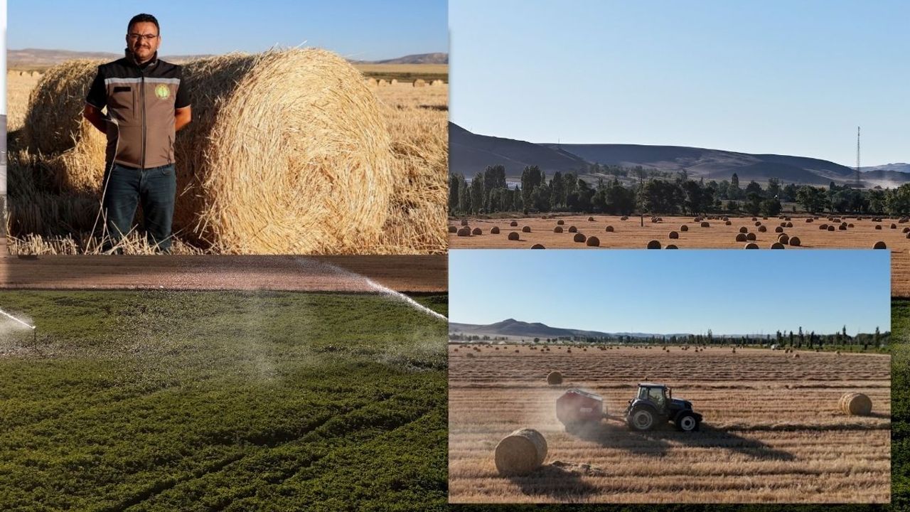 Hayvancılık için 7 bin dekar alanda yem stoğu yapılıyor!