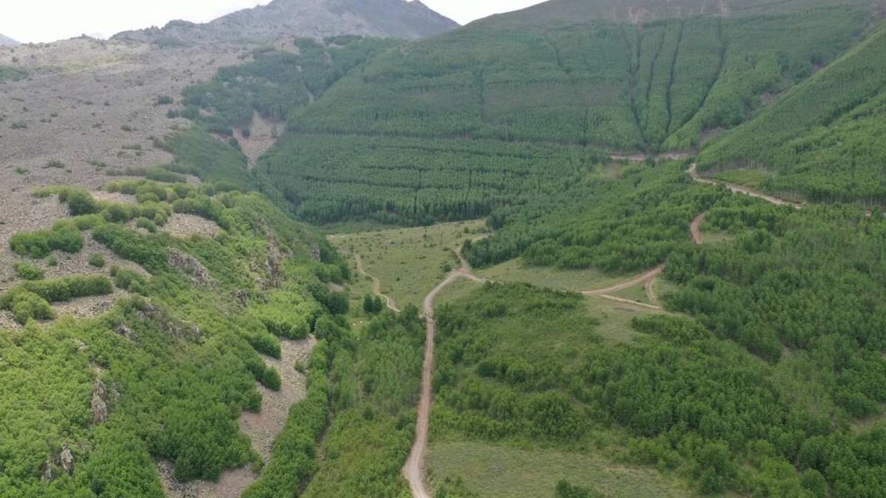 Kayseri'de doğa tutkunlarının yeni adresi oldu!