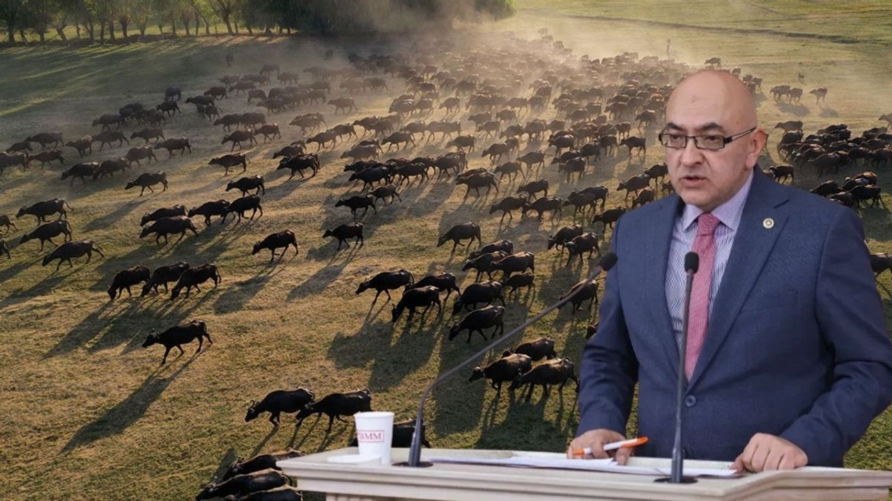 Kayserili vekil müjdeyi verdi! Üreticiye 1 buçuk milyon TL hibe edilecek