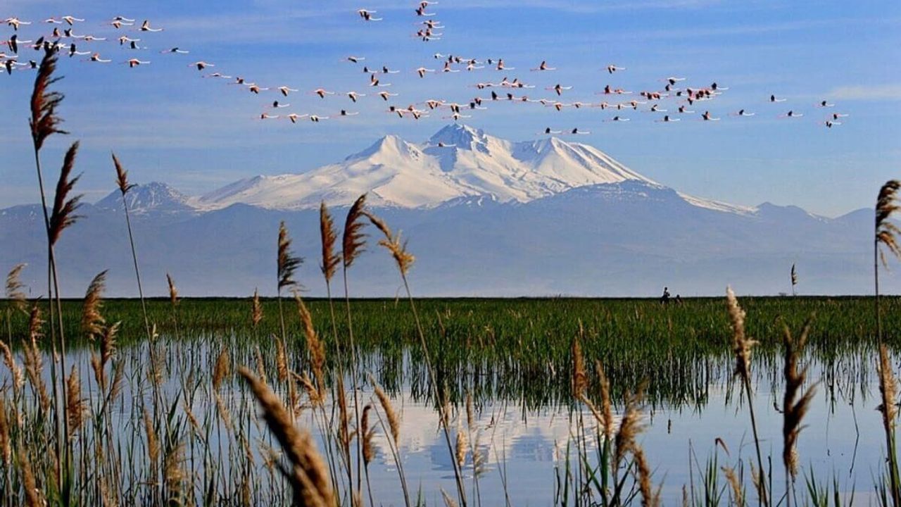 Sultan Sazlığı’nın ismi nereden geliyor? İşte Osmanlı'dan günümüze taşınan o miras
