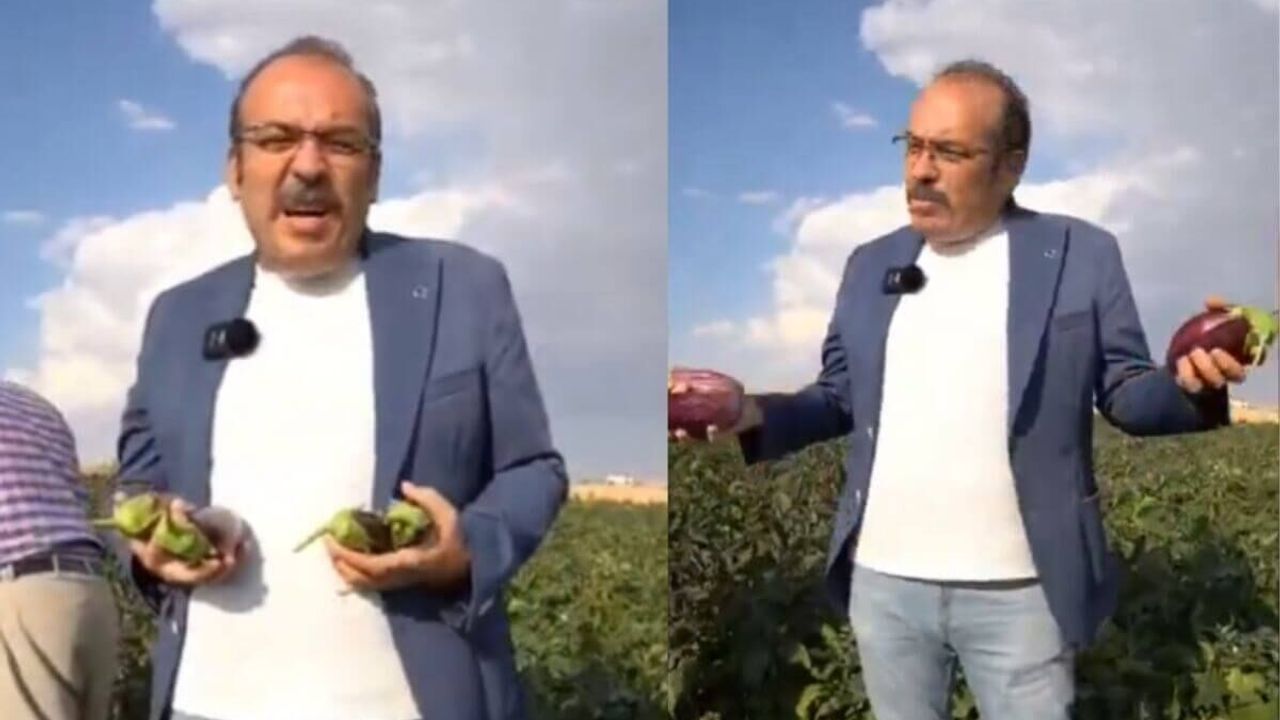 Kayseri'de Yamula patlıcanı kan ağlıyor! Hiç kazandırmıyor diyerek isyan etti!
