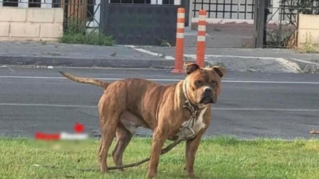 Otobüs ve dolmuş şoförleri arasında güzergâh kavgası büyüyor