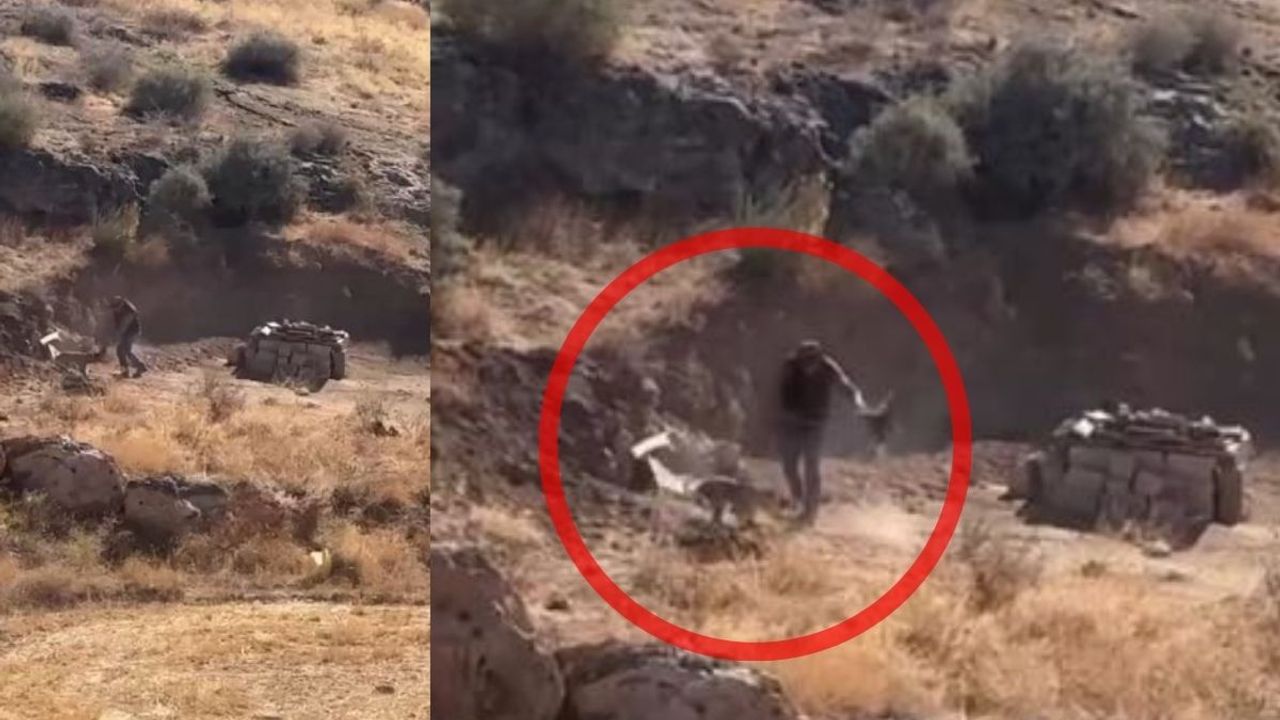 Akıl almaz görüntü: 4 Aylık köpeğe ne yaptı?