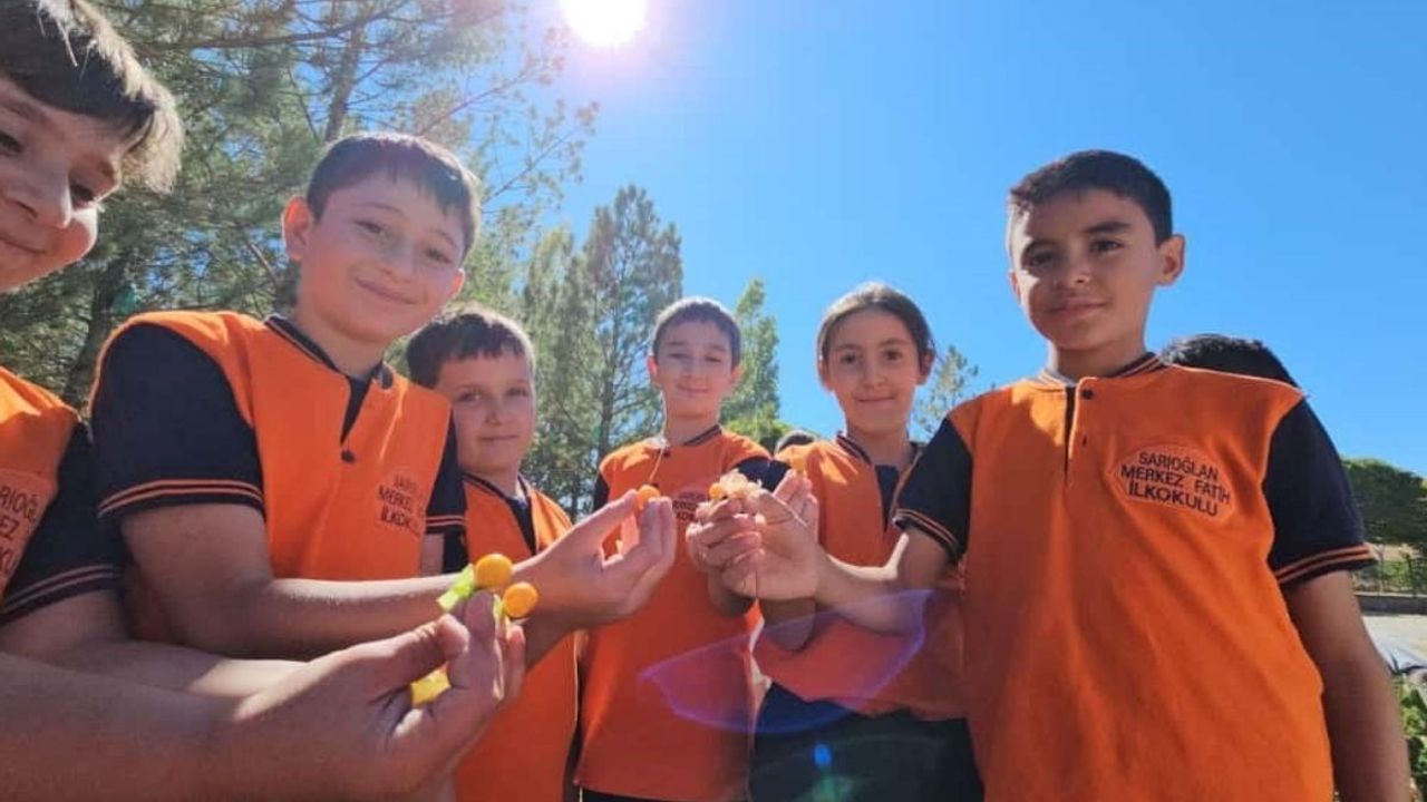 Kayseri’de ilkokul öğrencileri meyve üretimi yapıyor