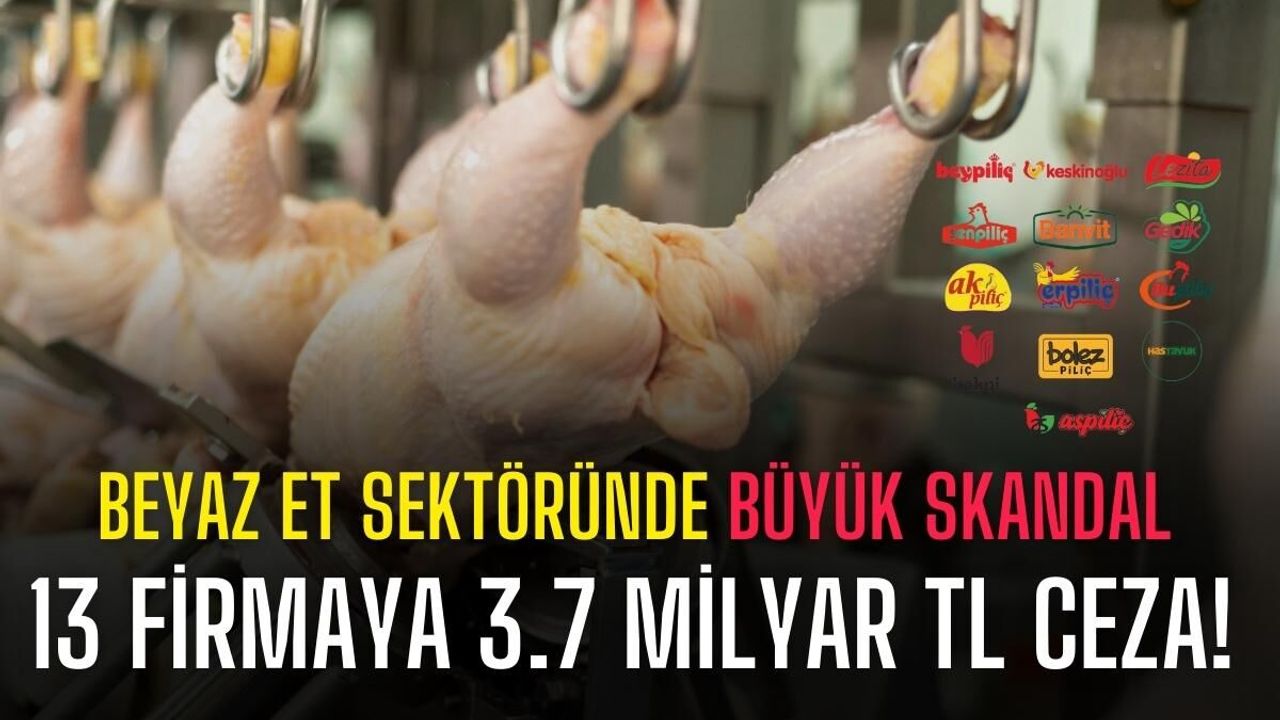 Rekabet Kurulu’ndan dev ceza: Piliç üreticilerine 3.7 milyar TL yaptırım!