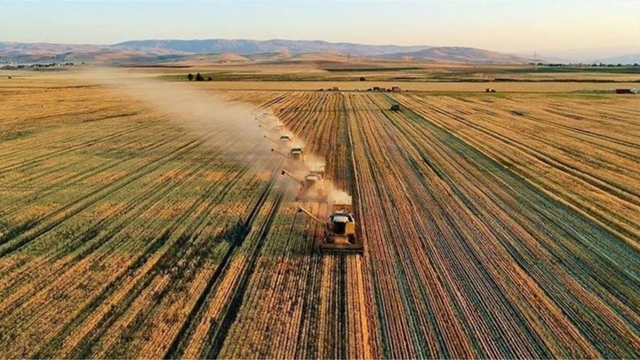 Bakanlık milyonlarca lirayı hesaplara yatırdı!