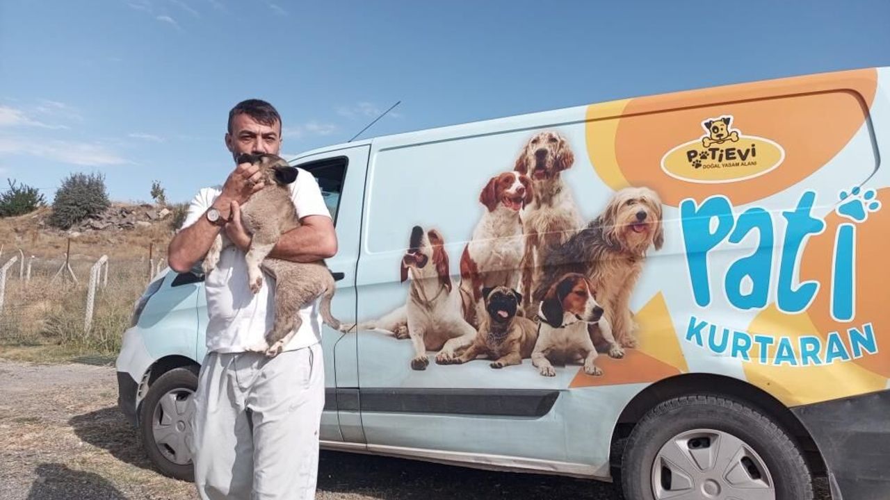 Pati Evi ekipleri 8 metre derinlikten yavru köpeği kurtardı