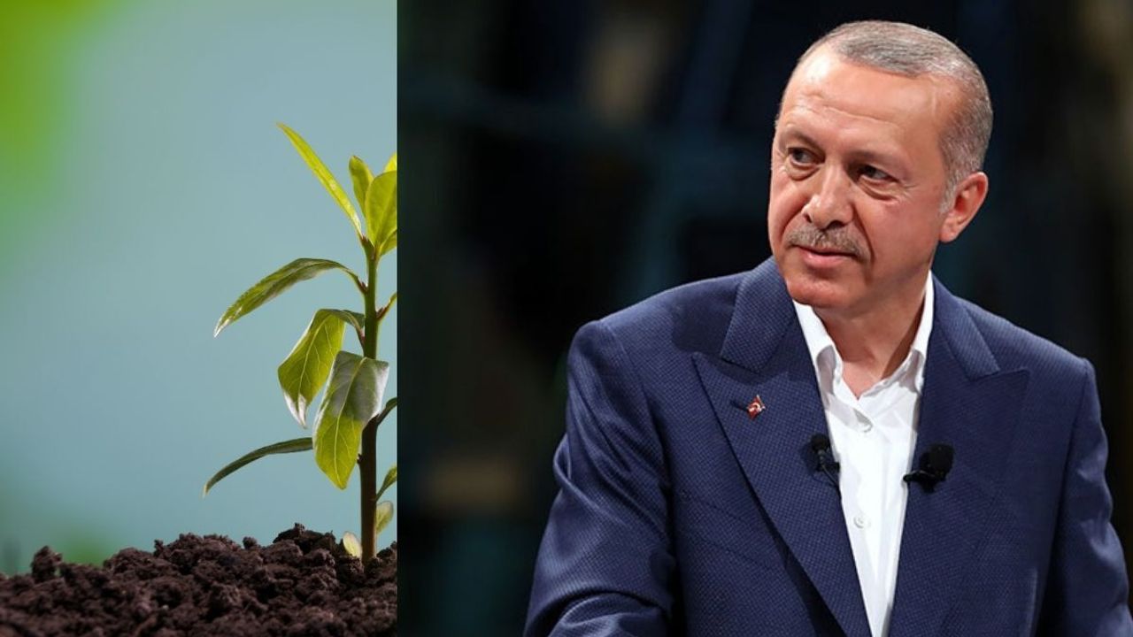 Cumhurbaşkanı Erdoğan 11 Kasım seferberliği için çağrıda bulundu