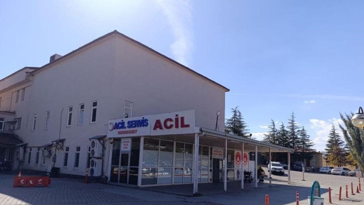 9 Yaşında ki kız çocuğunu arı sokunca kalbi durdu!