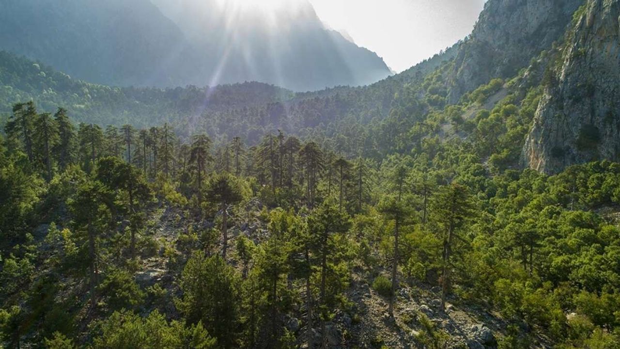 Kayseri’de sonbahar serinliği başladı ama pastırma sıcaklıkları kapıda