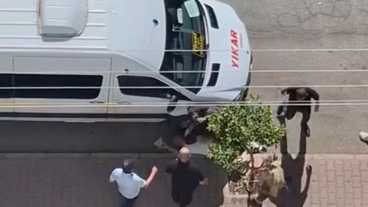 Adana’da bıçaklama anı kamerada