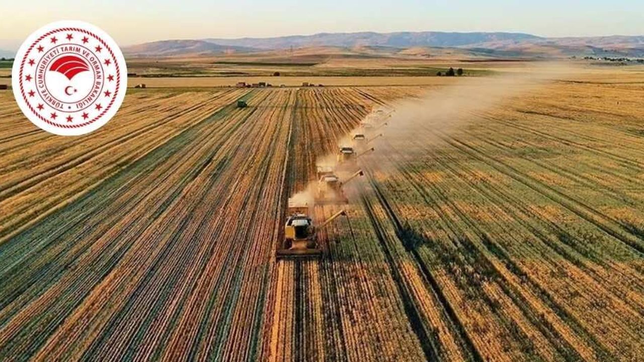 Tarım ve Orman Bakanlığı 2024 yılı “Tarımsal Amaçlı Örgütler” bültenini yayımladı