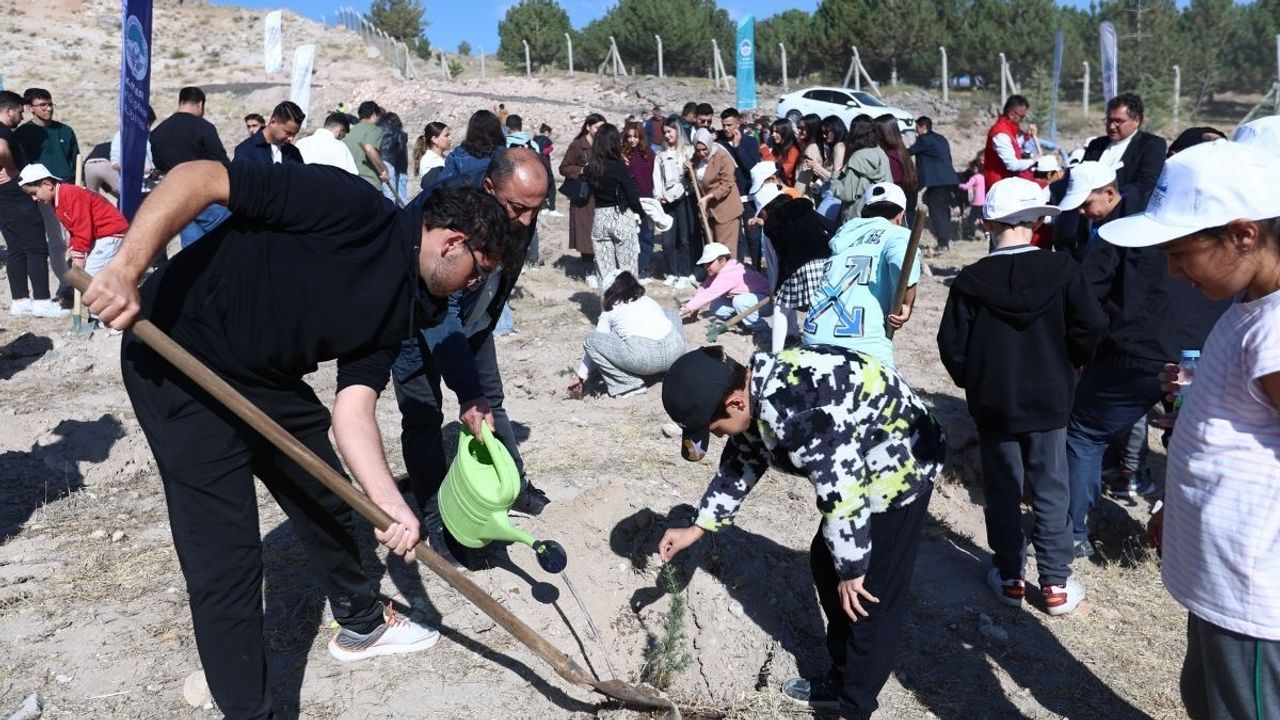 Kayseri yeşile doyacak her ilçeye binlerce fidan dikilecek