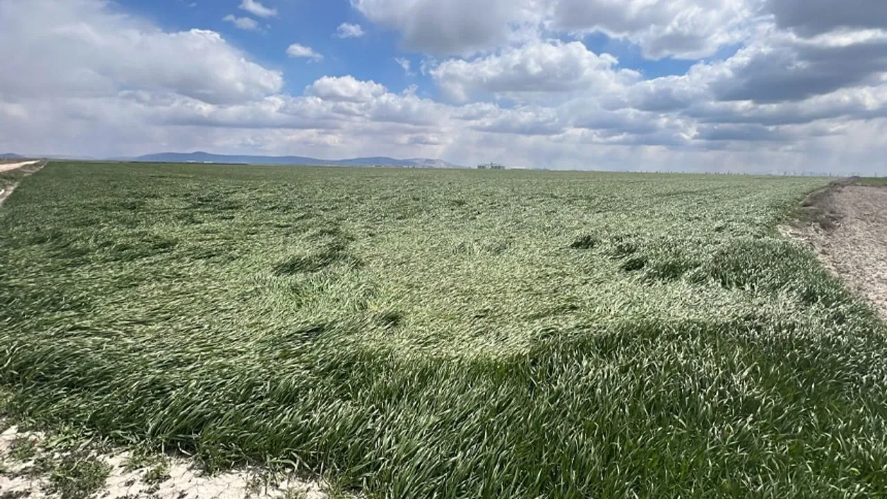 Köye dönmek isteyenlere verilecek dev yardım açıklandı