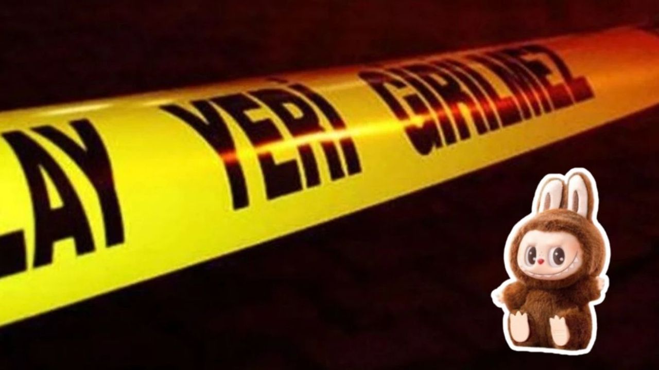 2 Milyon TL değerinde 2.605 kaçak ‘Labubu’ pelüş oyuncağı ele geçirildi