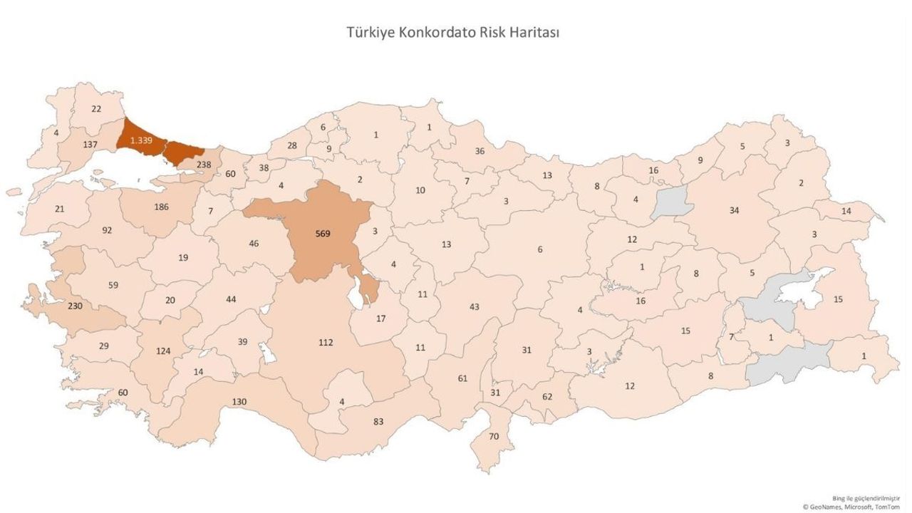 Batıyoruz! Konkordato ilan eden şirketlerde bakın Kayseri kaçıncı sırada
